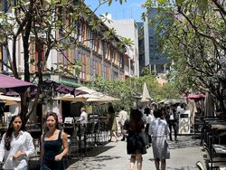 SINSOV BUILDING (D1), Shop House #501046781